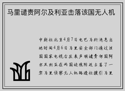 马里谴责阿尔及利亚击落该国无人机